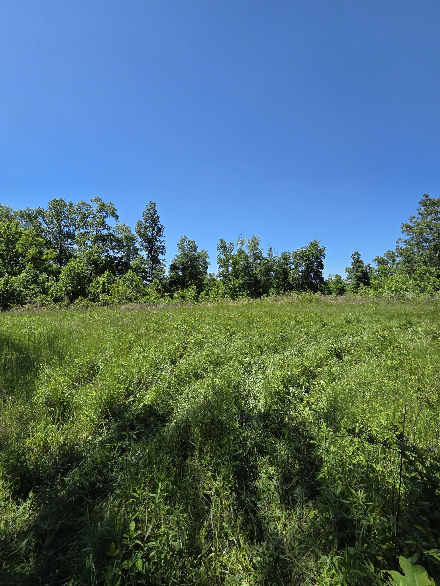 806 Brandon Hollow