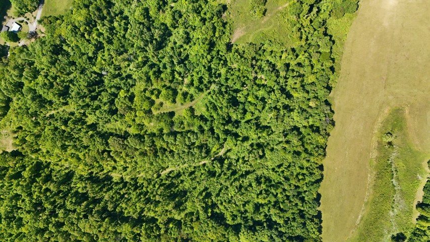 806 Brandon Hollow