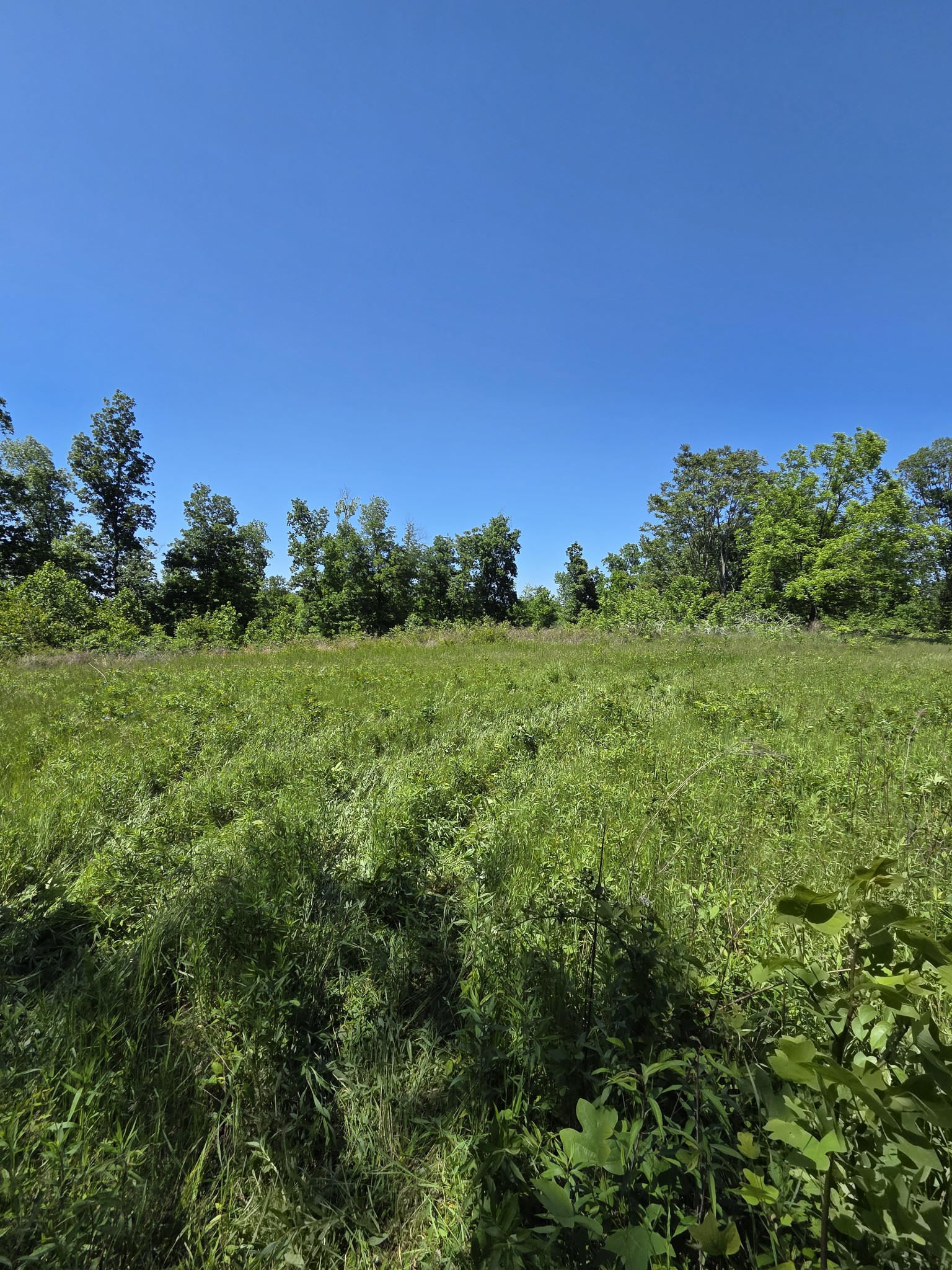 806 Brandon Hollow
