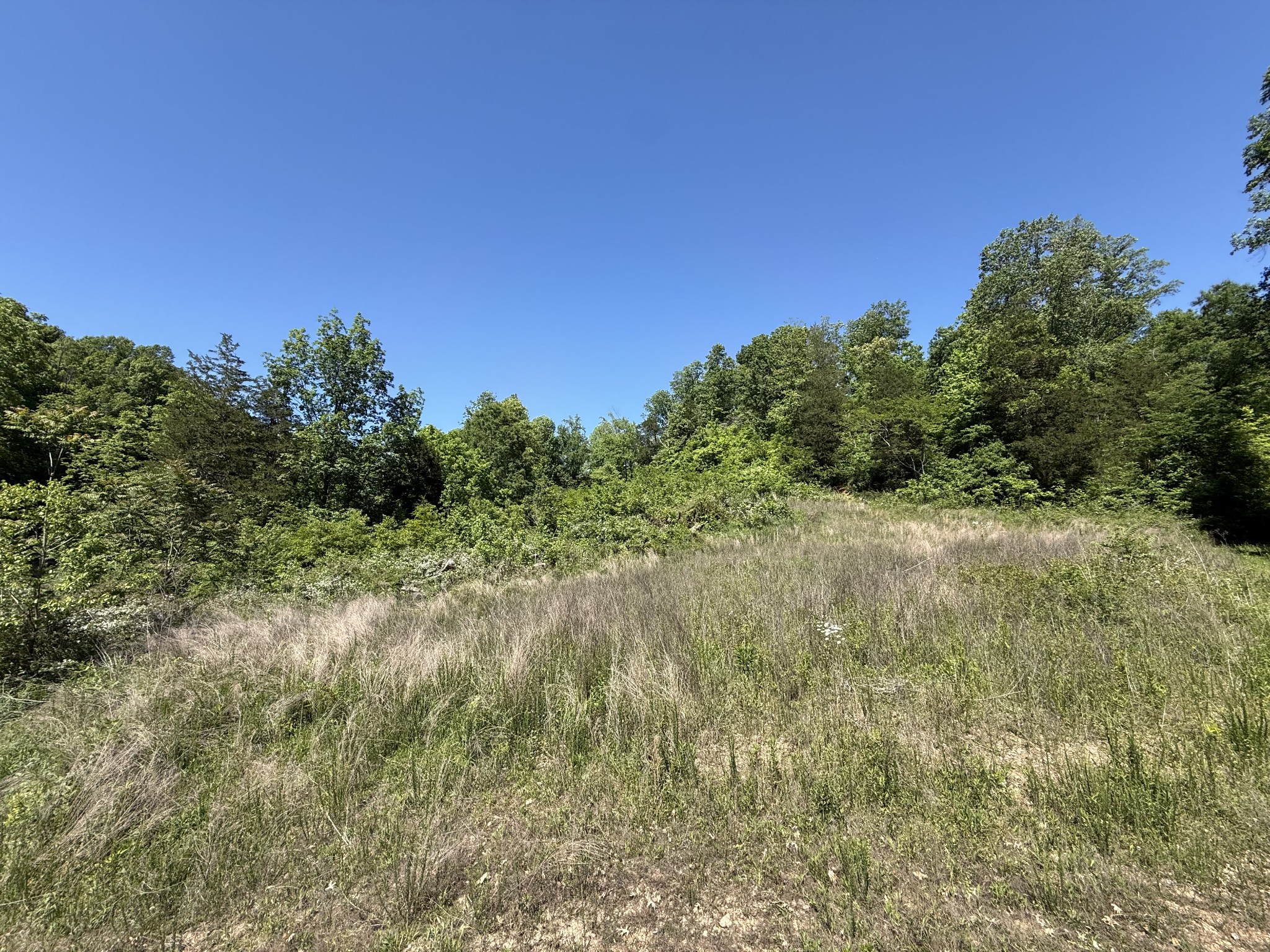806 Brandon Hollow