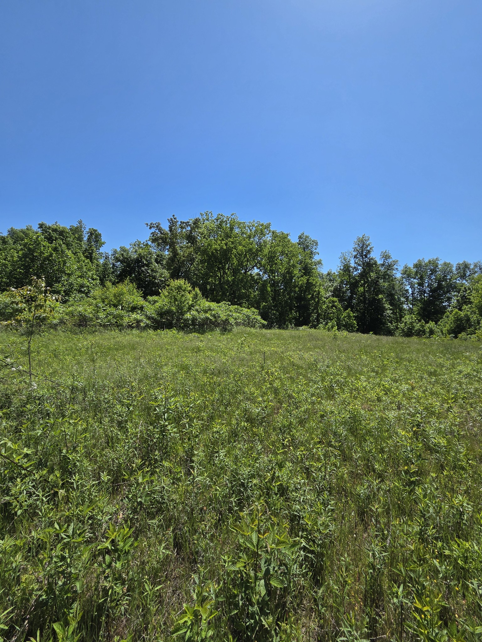 806 Brandon Hollow