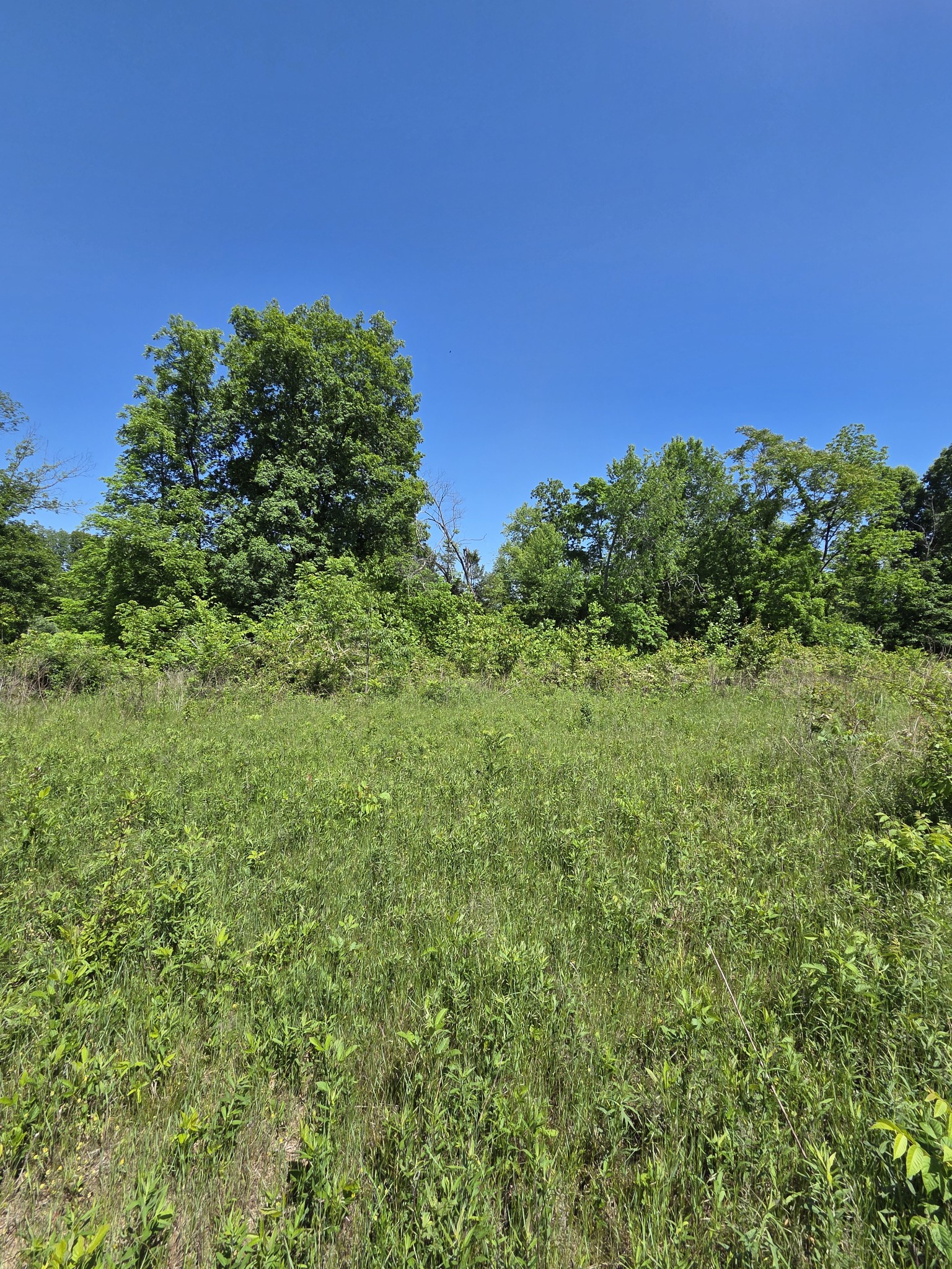 806 Brandon Hollow