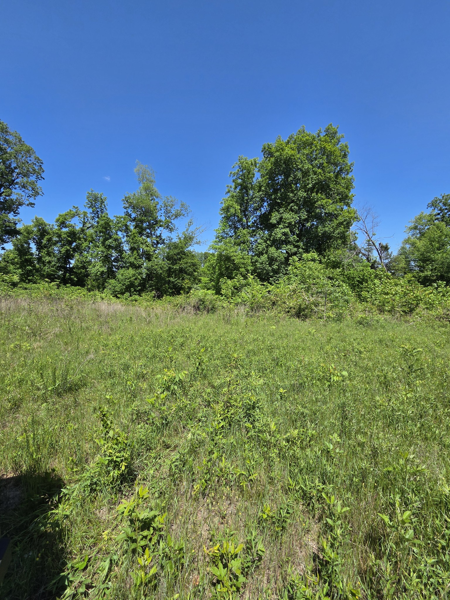 806 Brandon Hollow