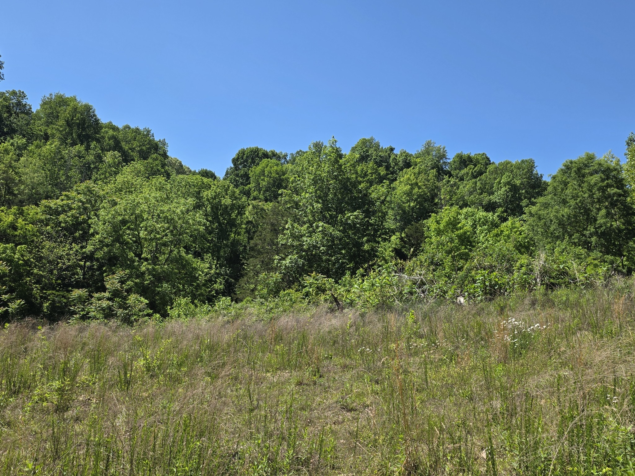 806 Brandon Hollow