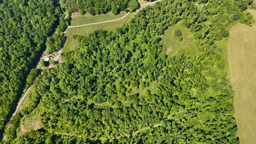 806 Brandon Hollow