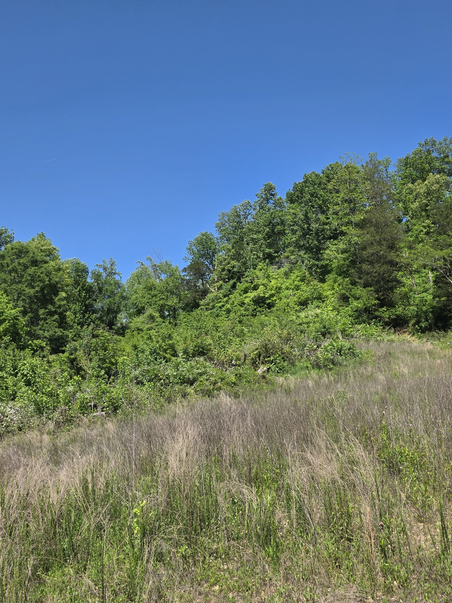 806 Brandon Hollow
