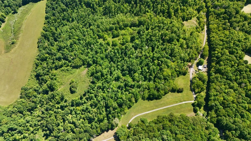 806 Brandon Hollow