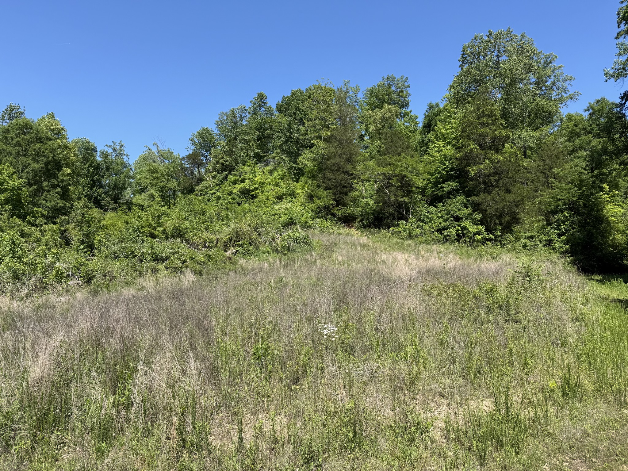 806 Brandon Hollow