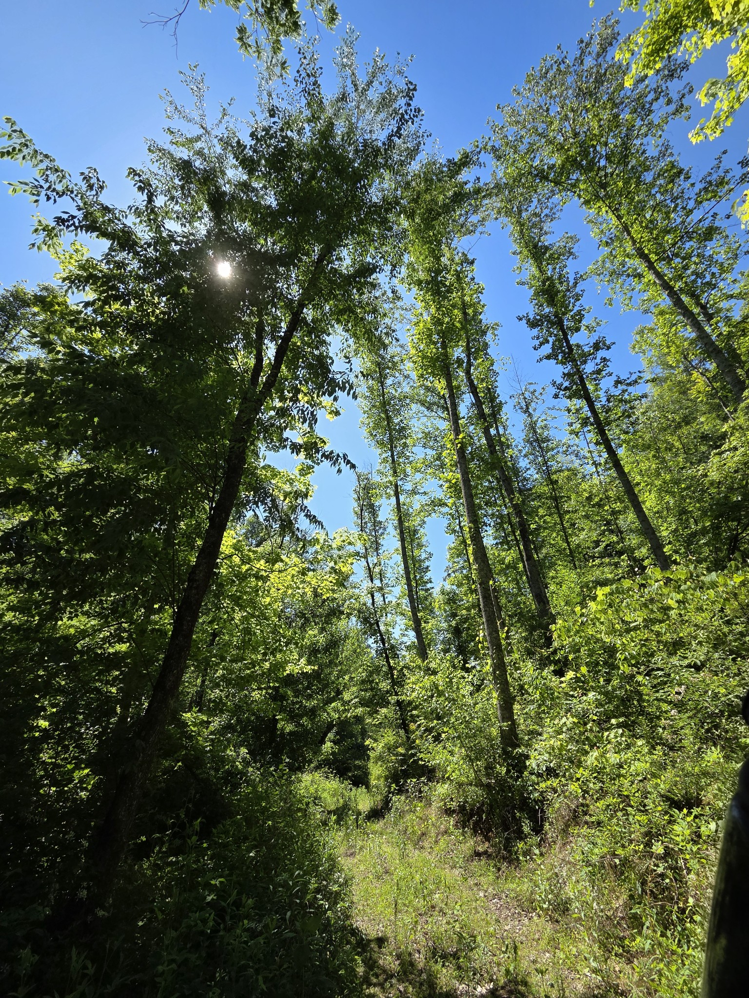 806 Brandon Hollow