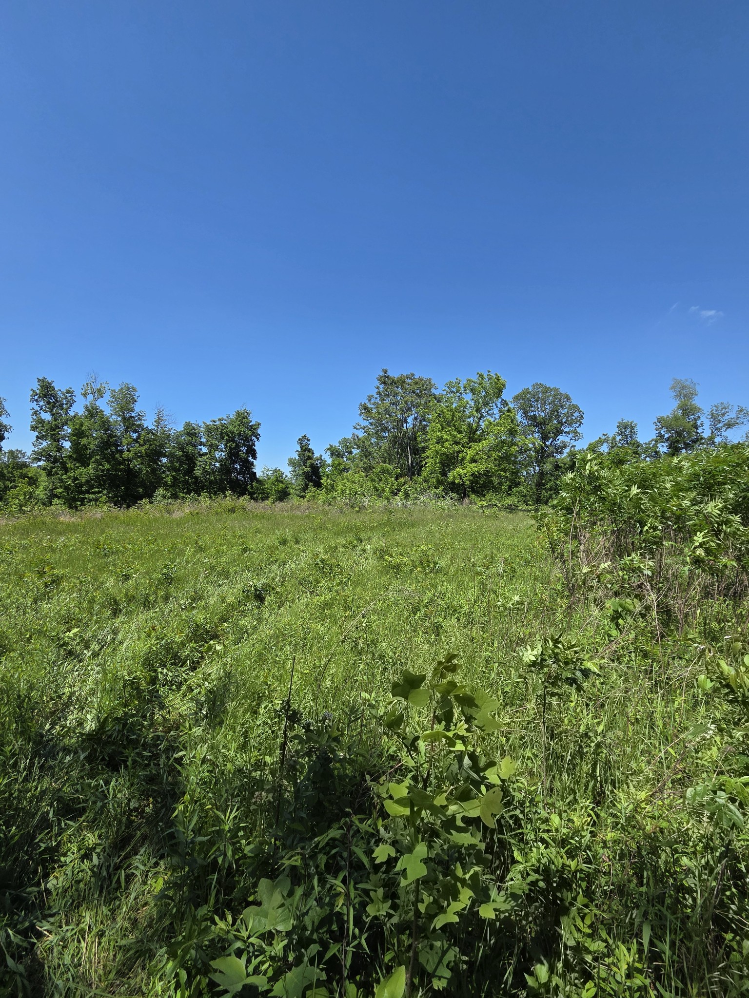 806 Brandon Hollow