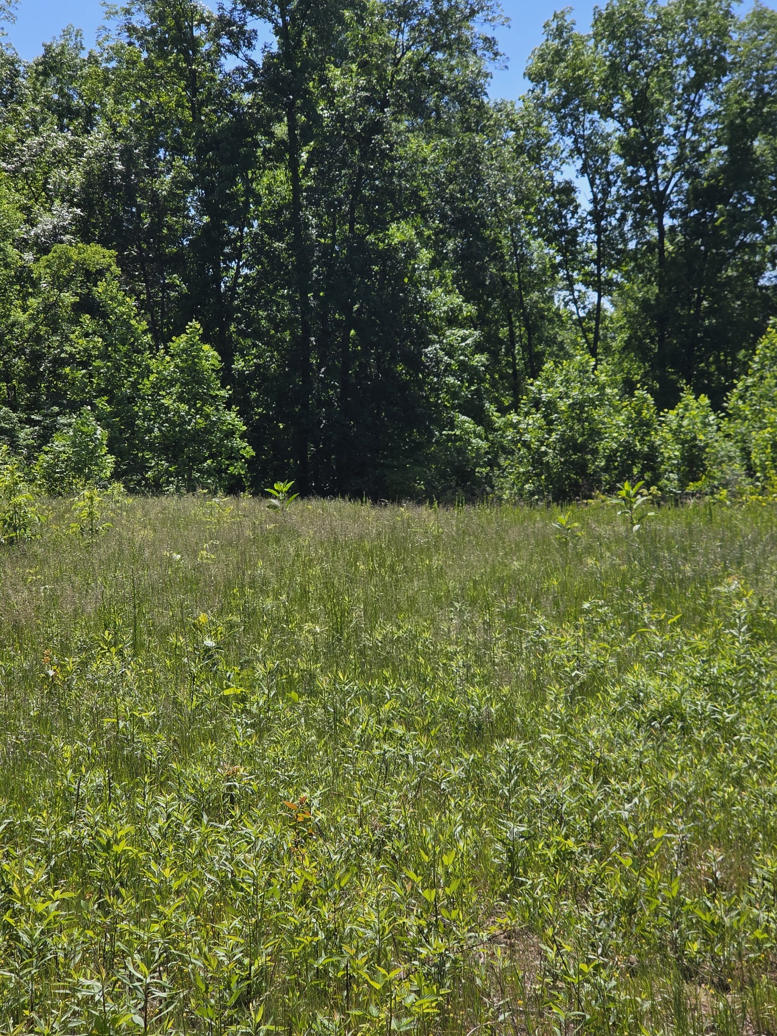 806 Brandon Hollow