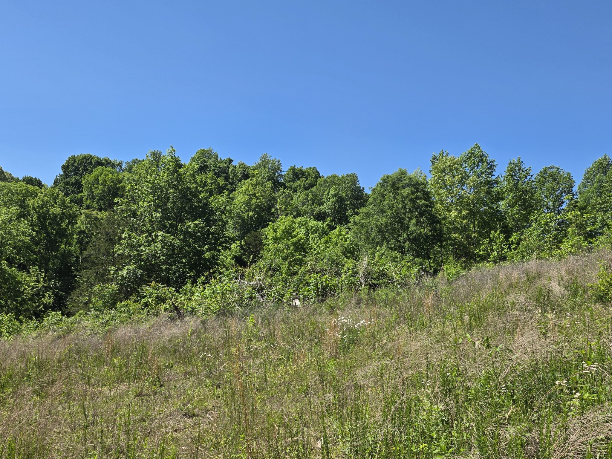 806 Brandon Hollow