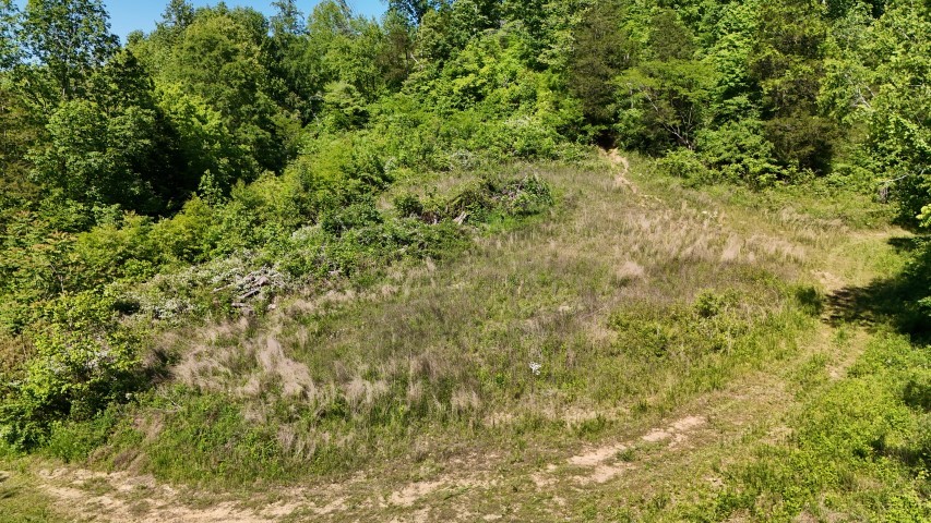 806 Brandon Hollow