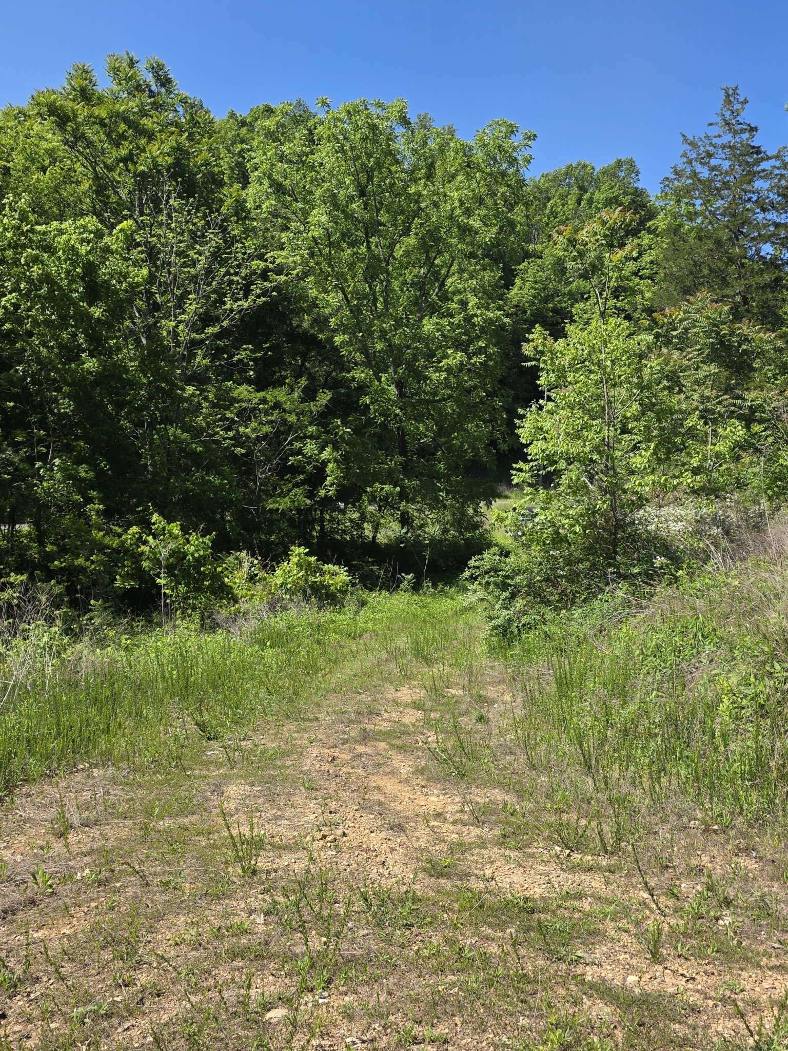 806 Brandon Hollow