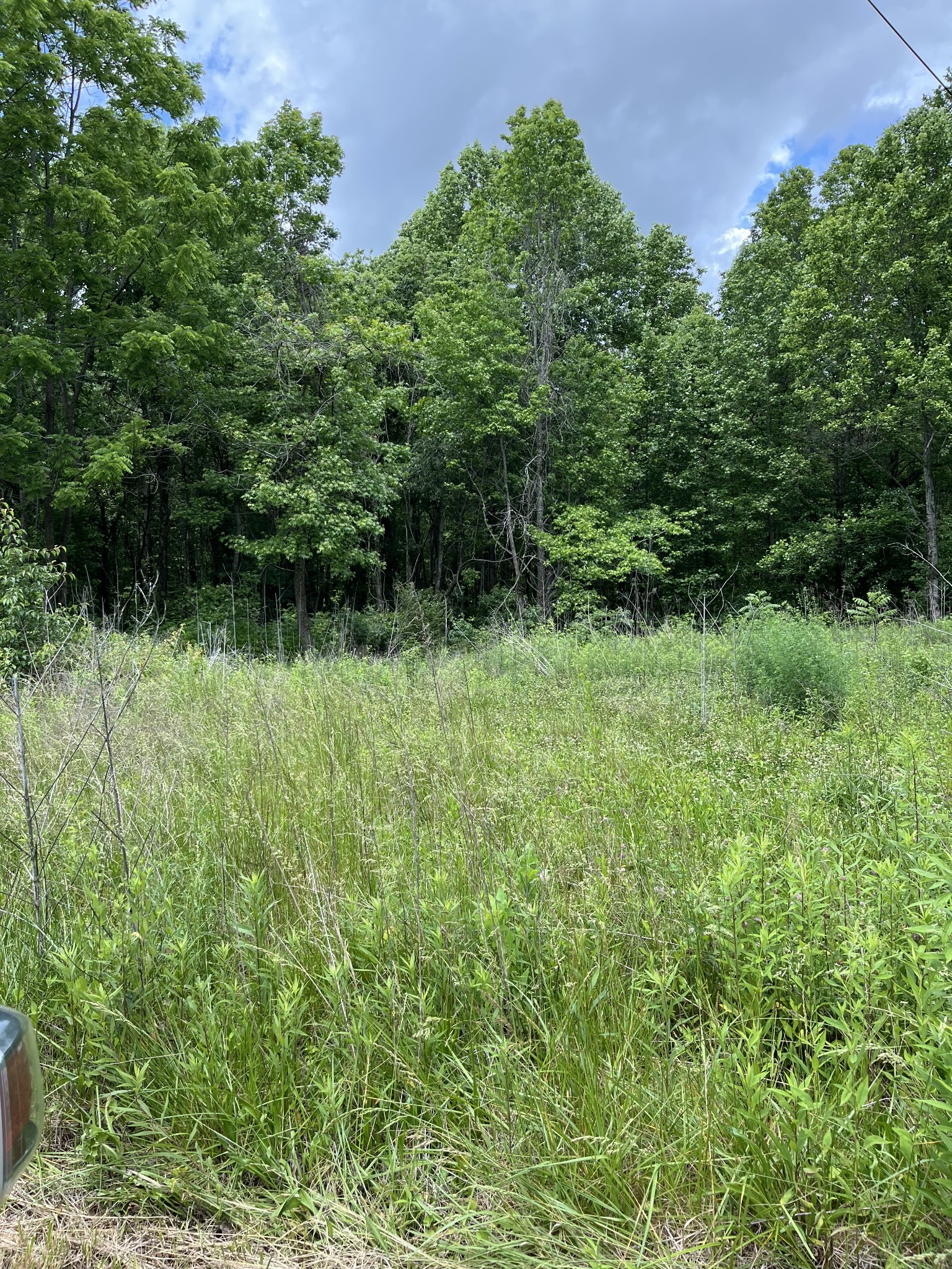 349 Fire Tower Rd