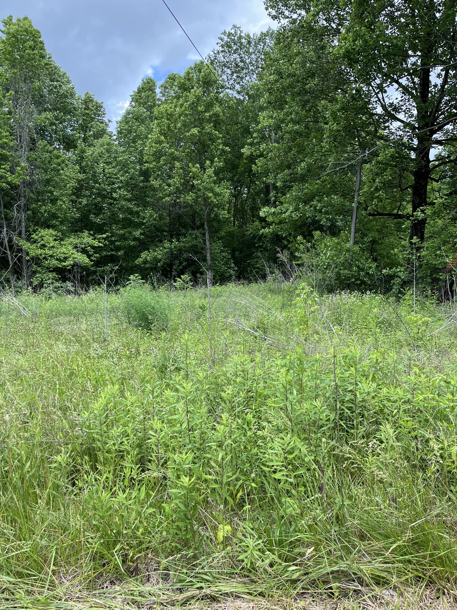 349 Fire Tower Rd