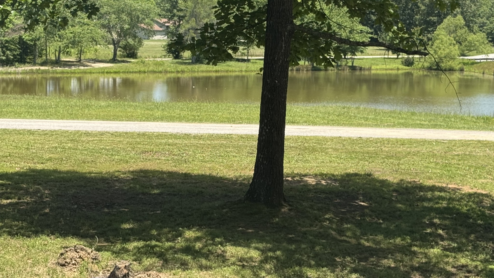 1684 Rimfire Dr