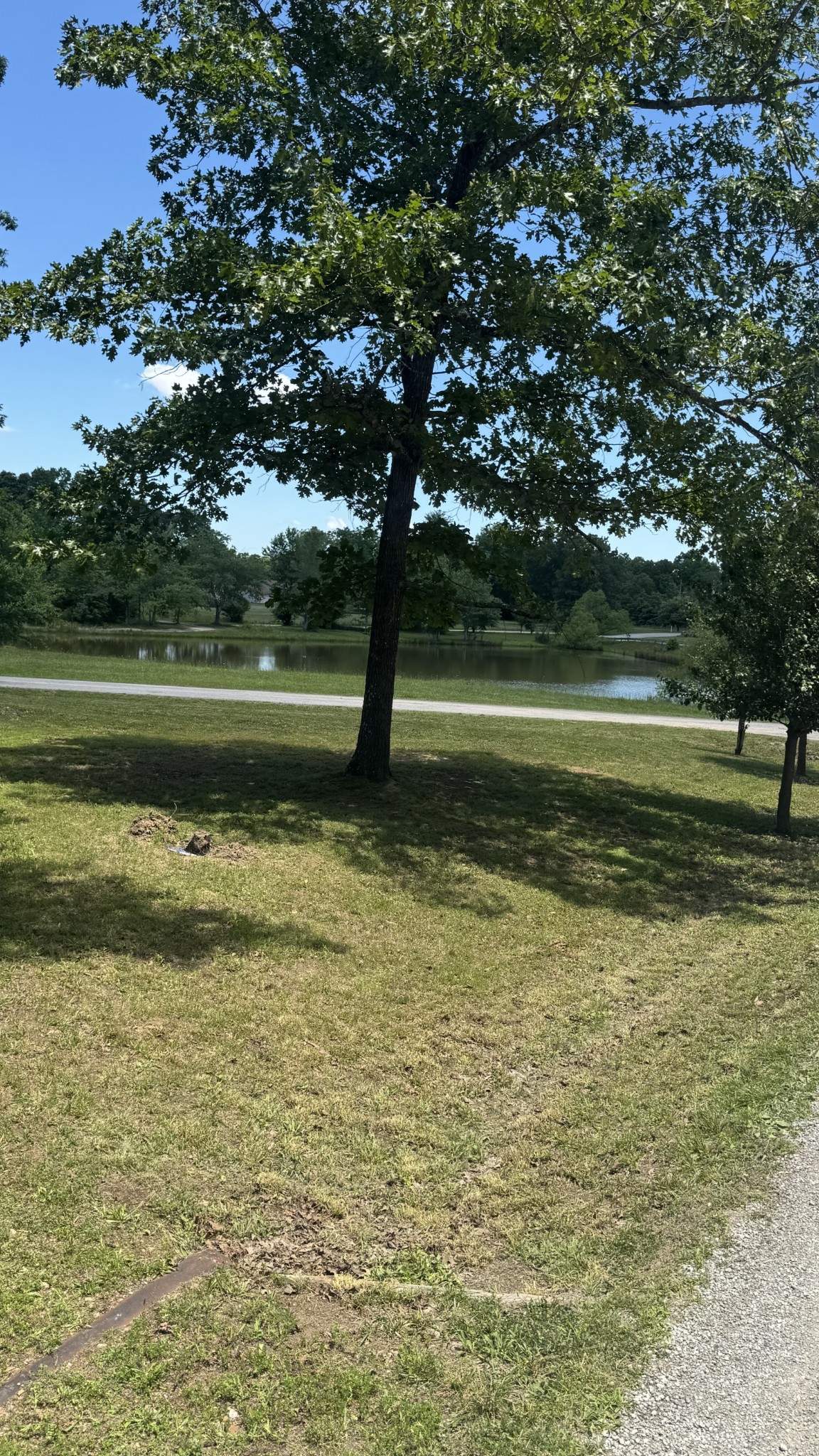 1684 Rimfire Dr