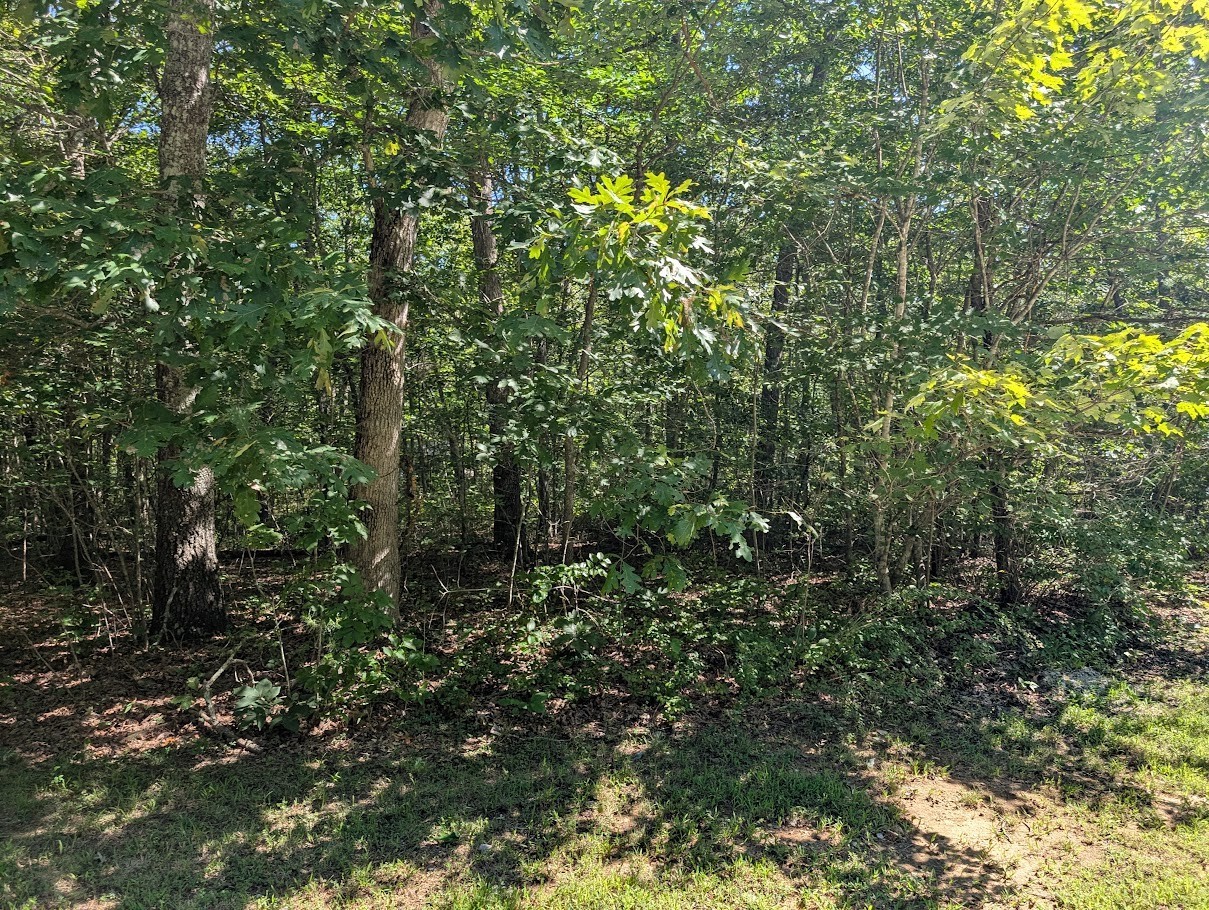 140 Sunset Bluff Way