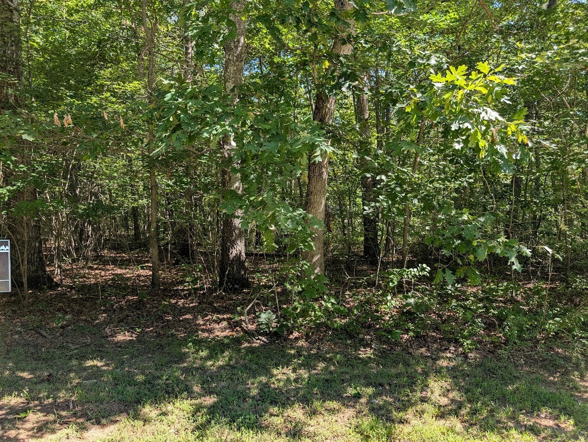 140 Sunset Bluff Way