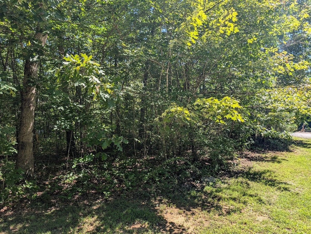 140 Sunset Bluff Way