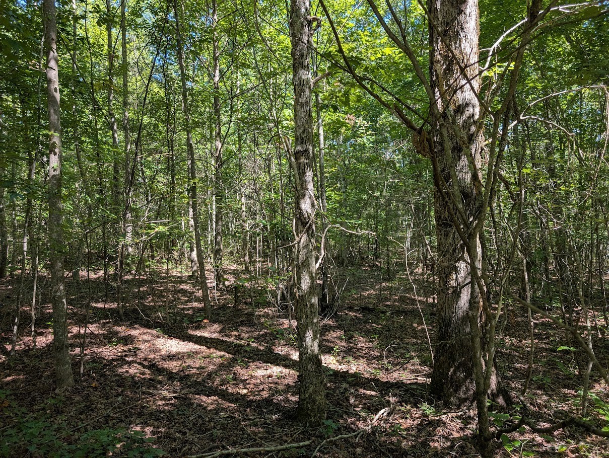 140 Sunset Bluff Way