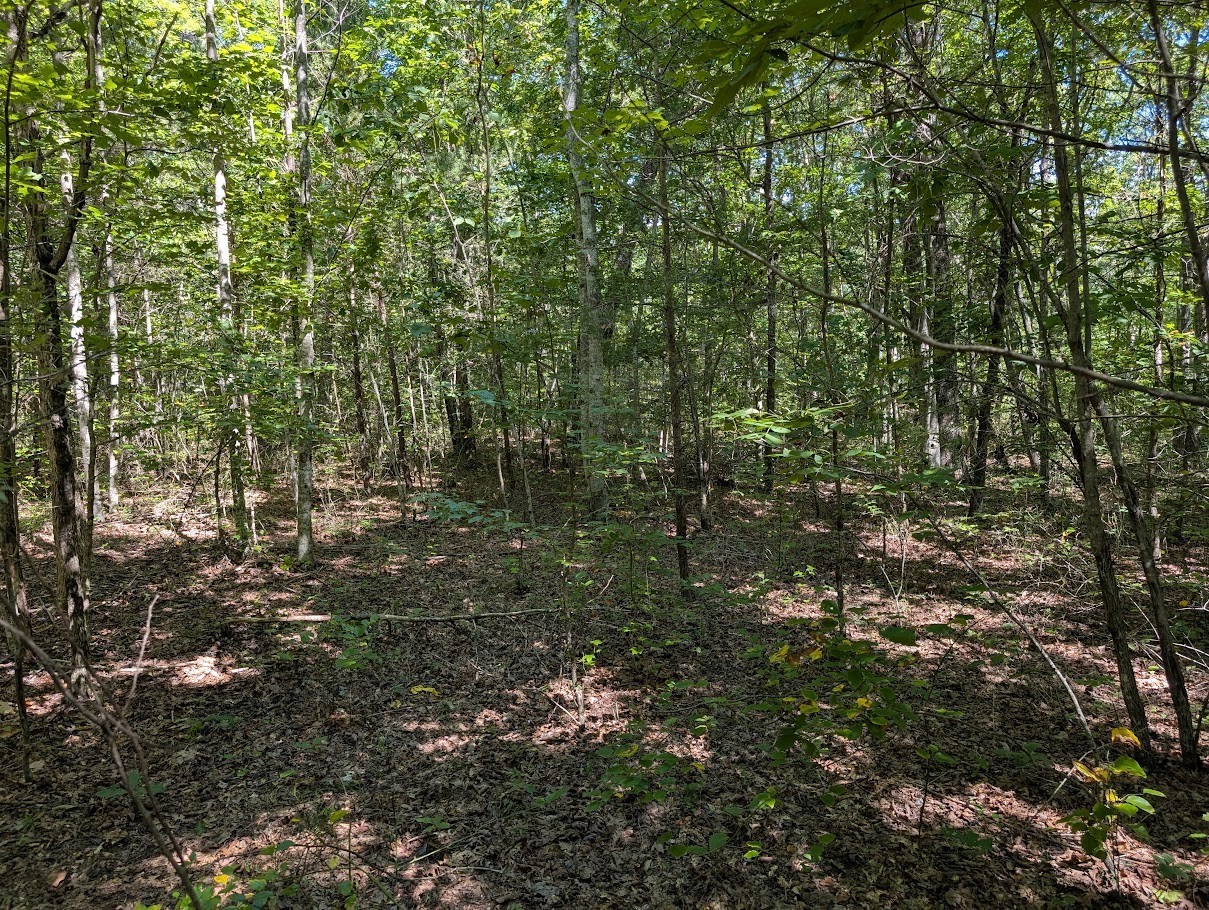 140 Sunset Bluff Way