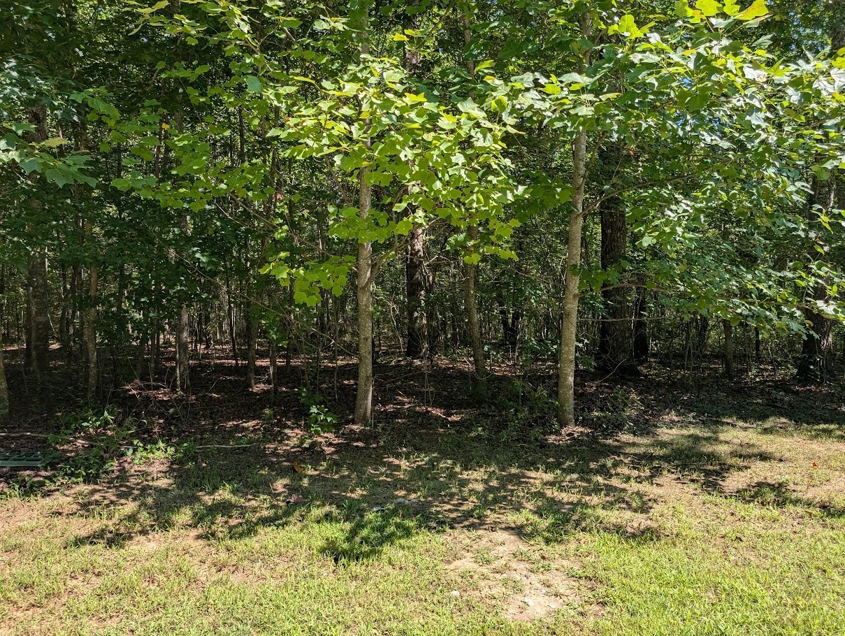 140 Sunset Bluff Way