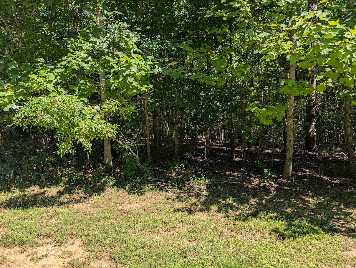 140 Sunset Bluff Way