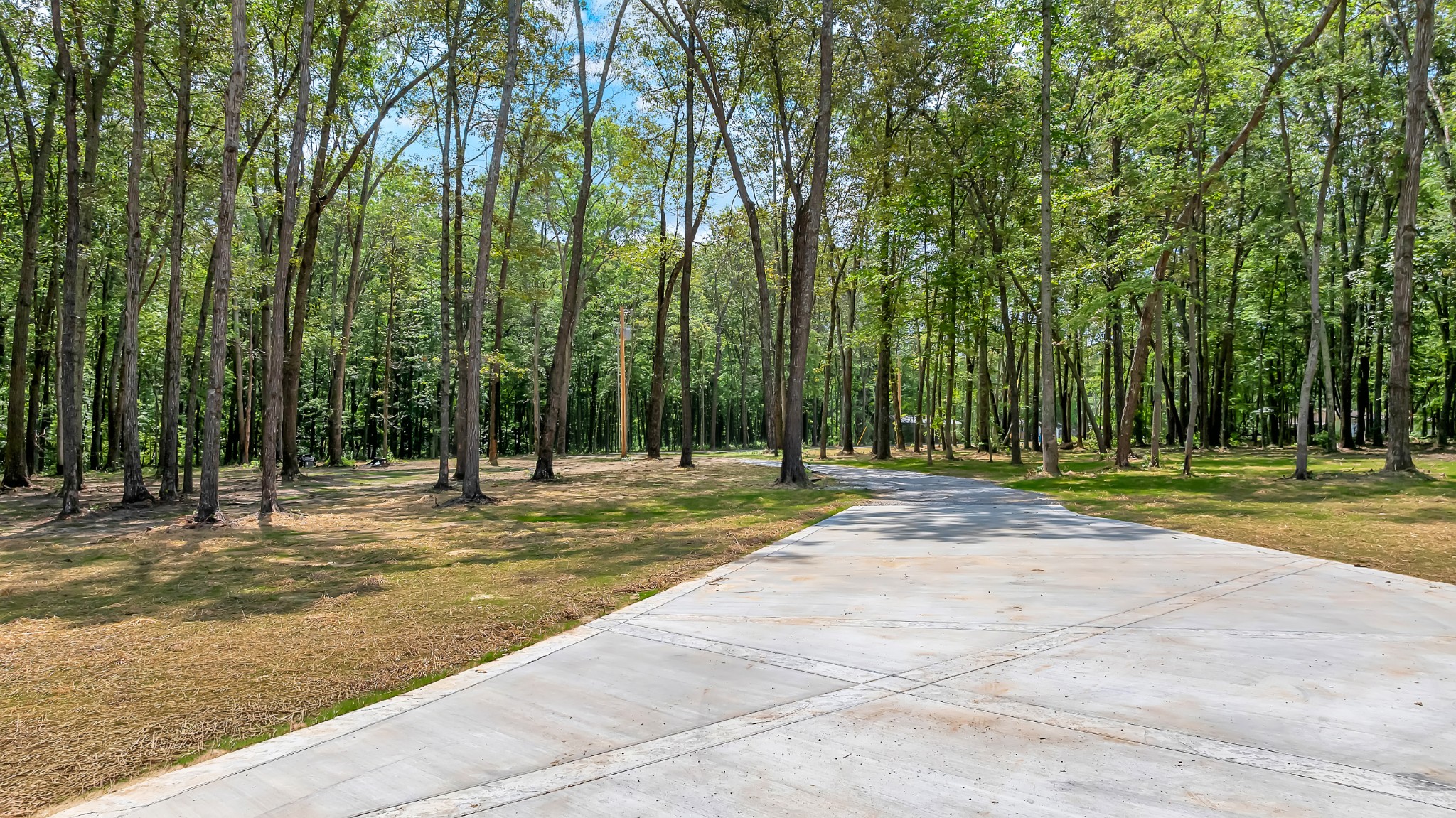 453 Dogwood Ln