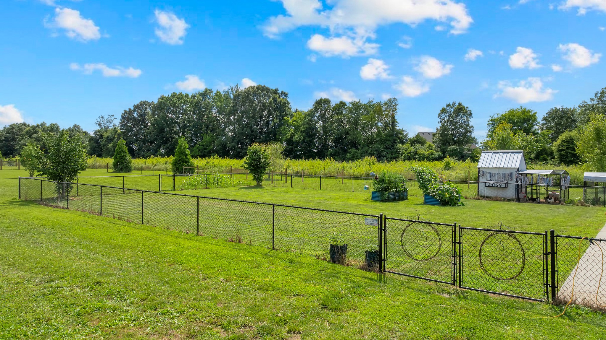 1469 Ledford Mill Rd