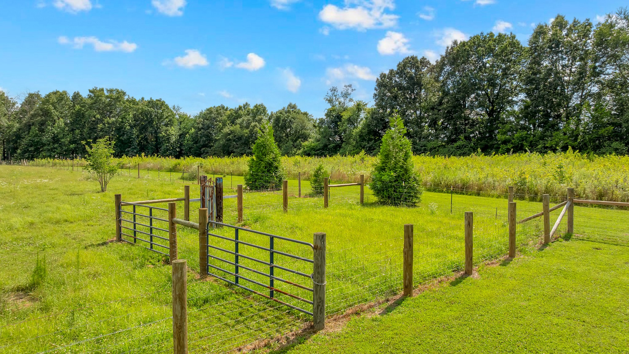 1469 Ledford Mill Rd