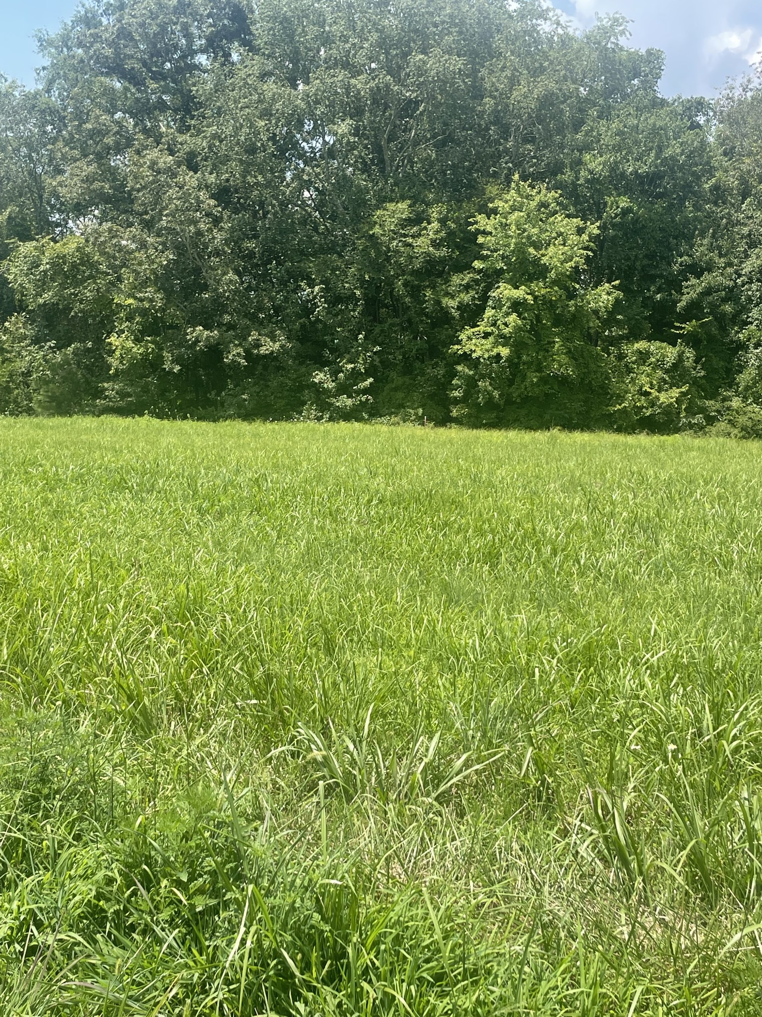 0 Summer Lake