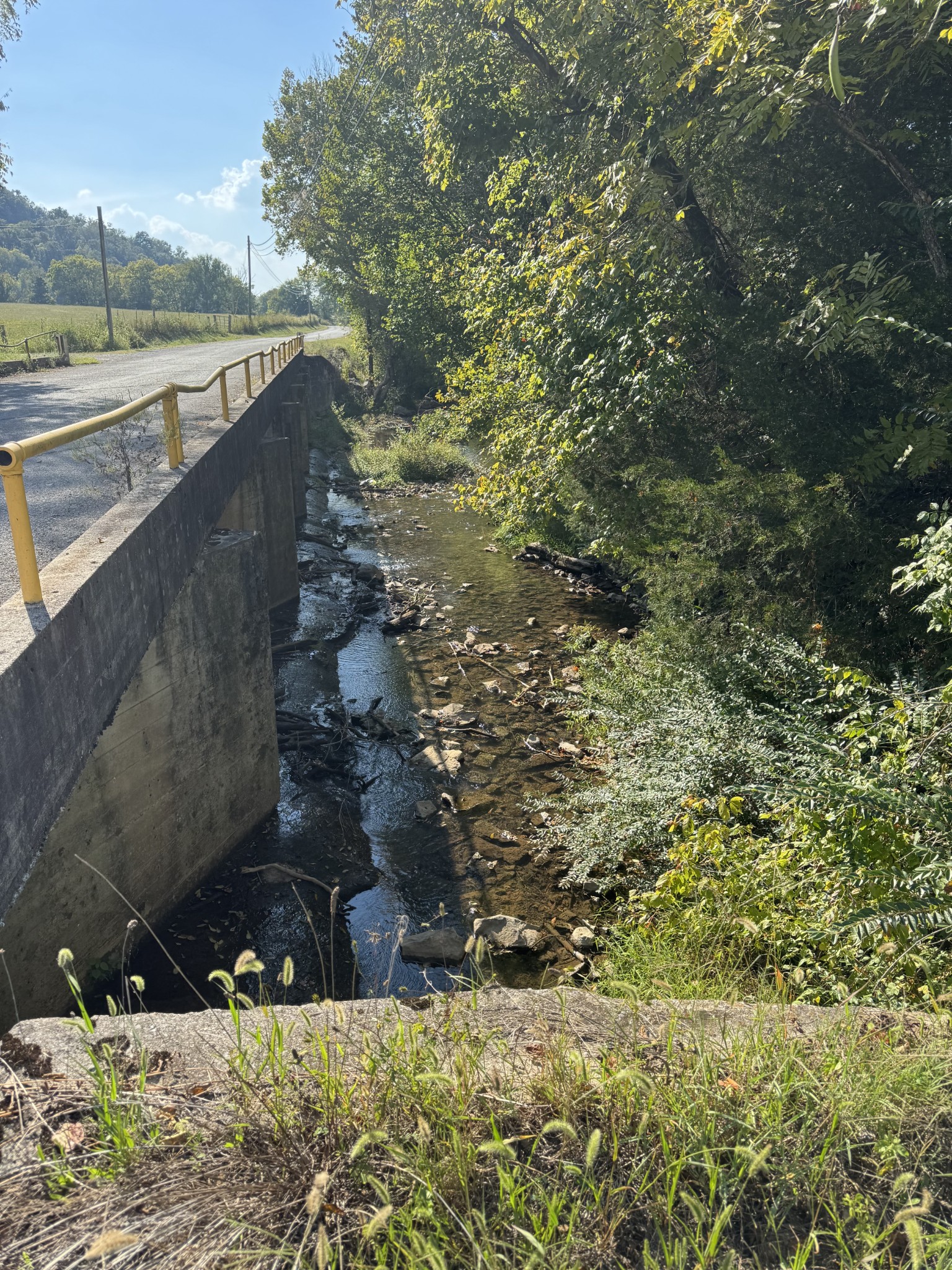 0 Cheatham Springs Road