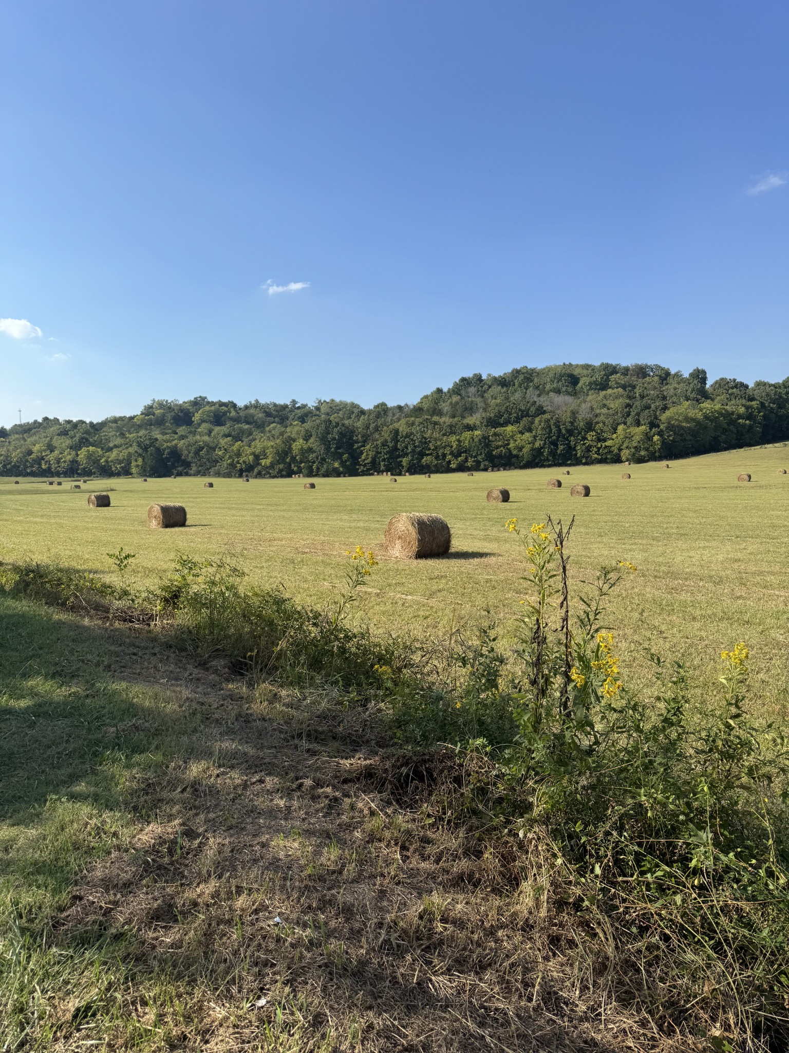 0 Cheatham Springs Road