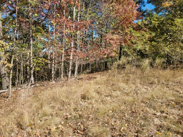 580 Preservation Dr