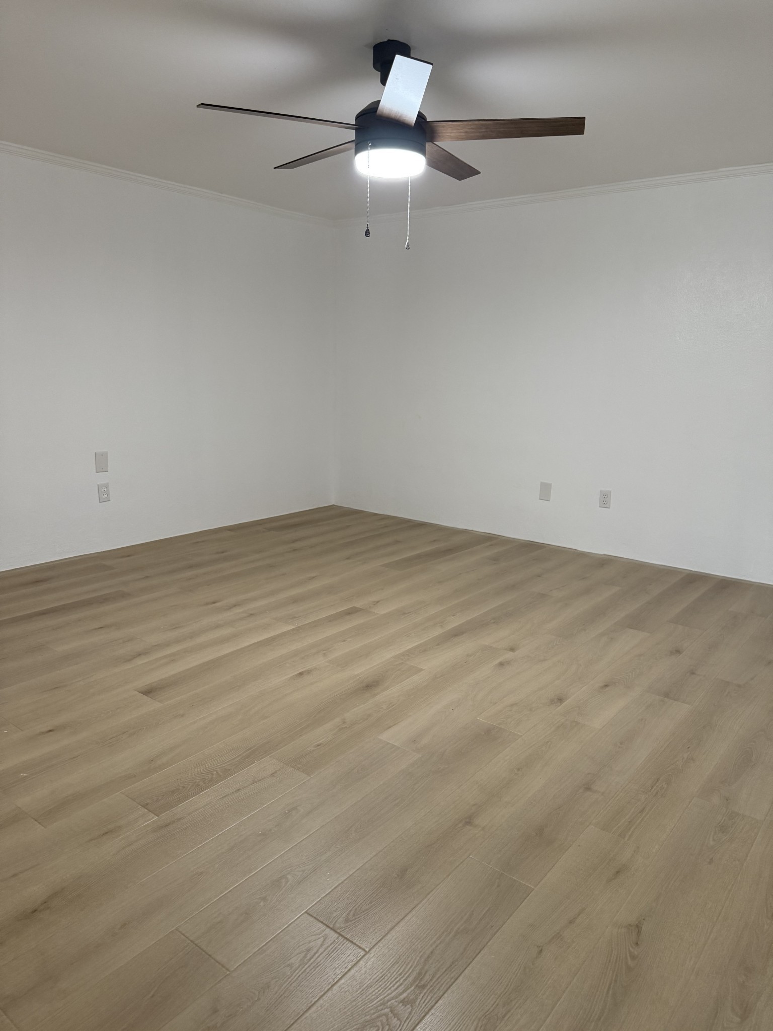 103 Springer Dr
