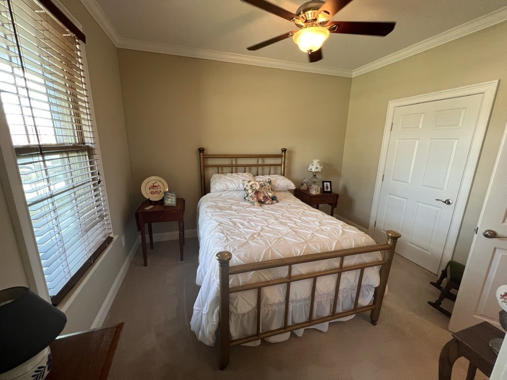 116 Riley Cir