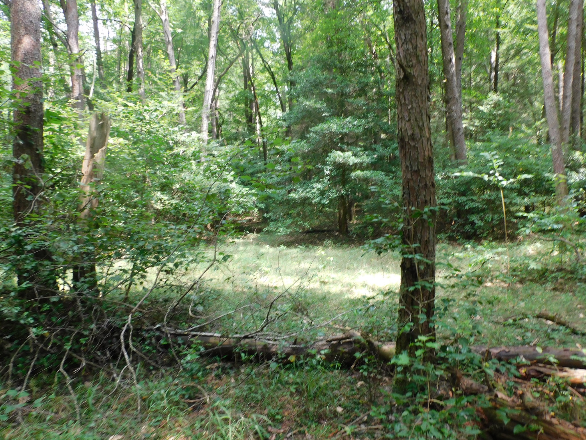 0 Old Highway 56