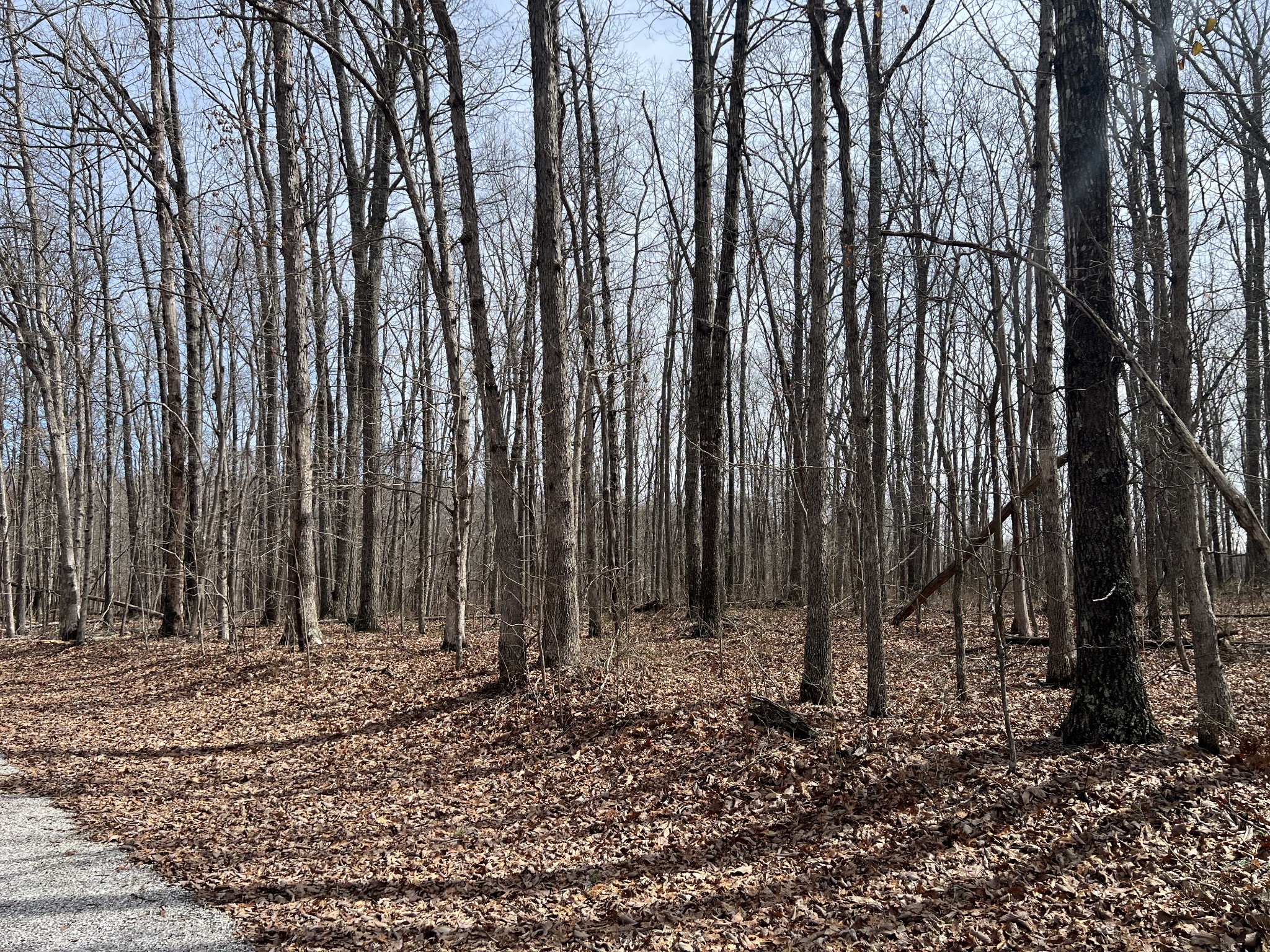 4441 Deer Run Road