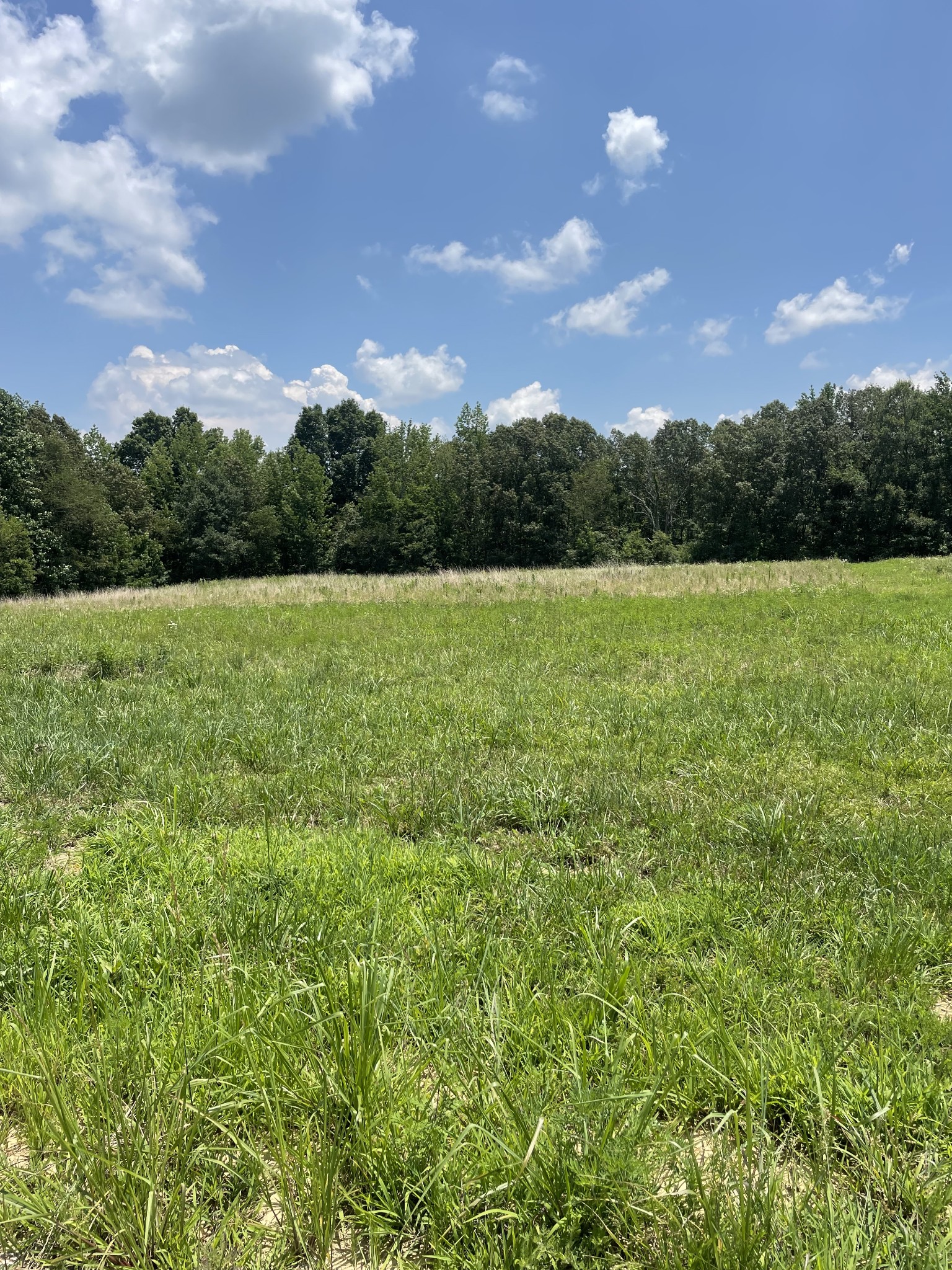 0 Summer Lake Ct
