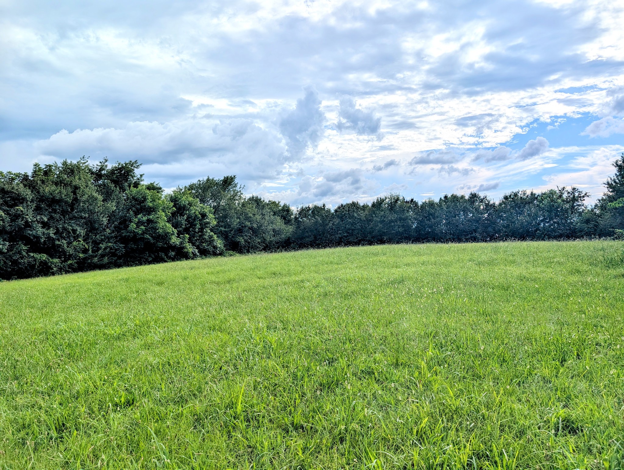 649 Blair Pond Rd