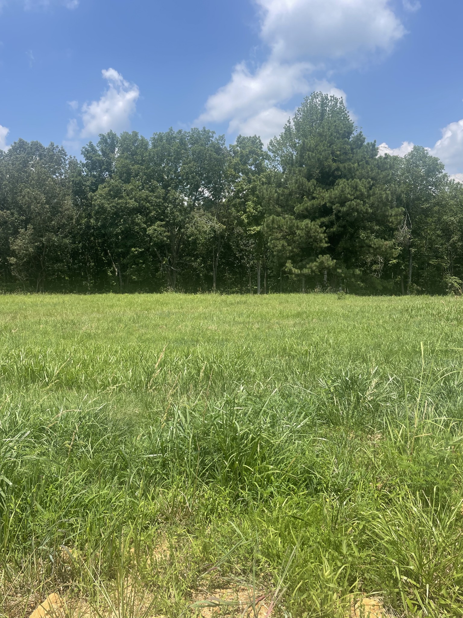0 Summer Lake