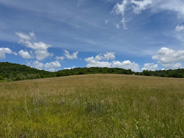 167 Plunkett Creek Rd