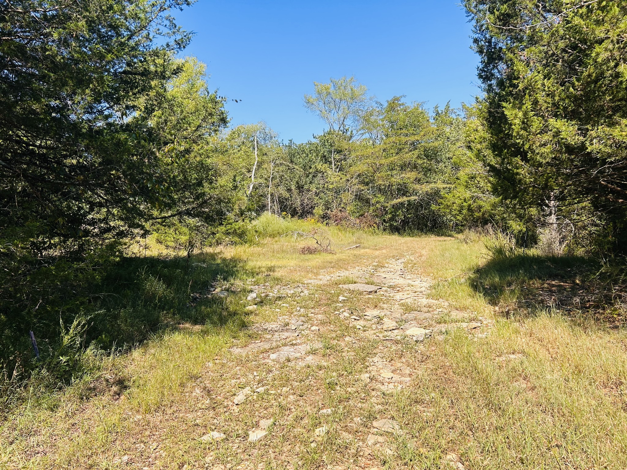 0 Bradyville Pike
