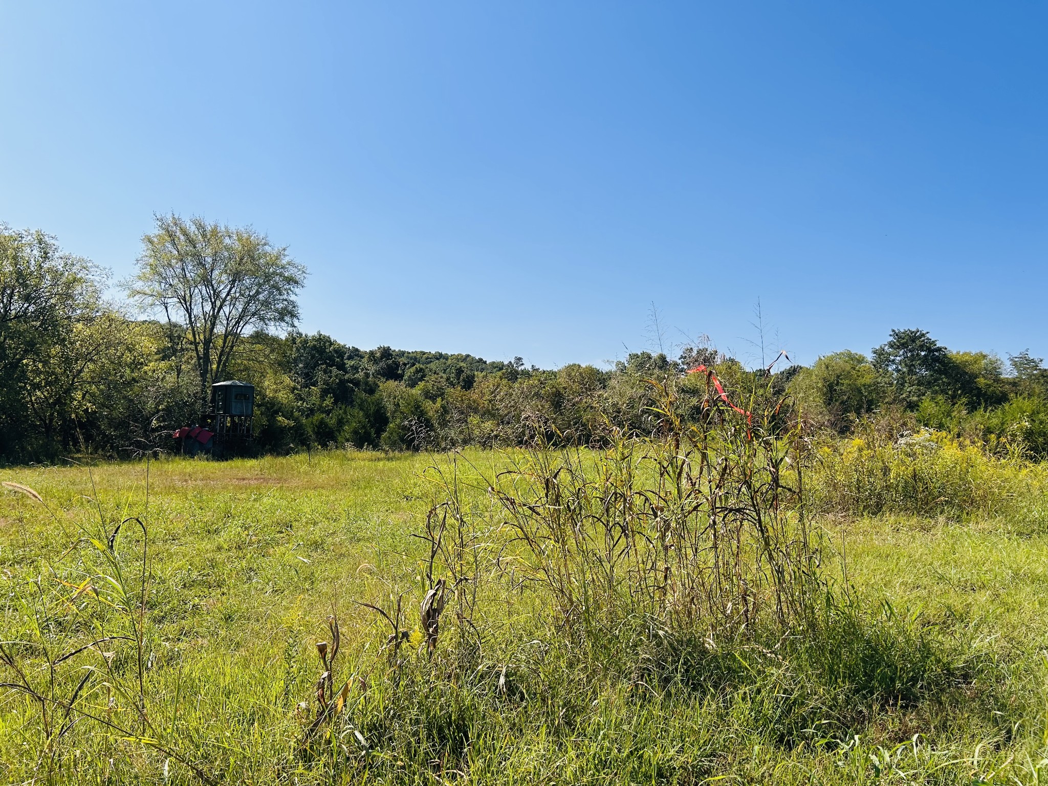 0 Bradyville Pike