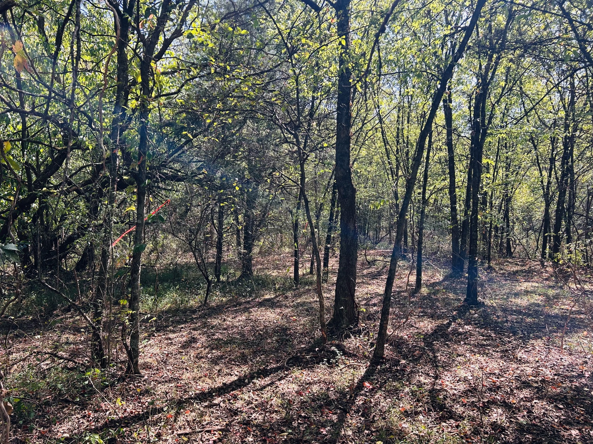 0 Bradyville Pike
