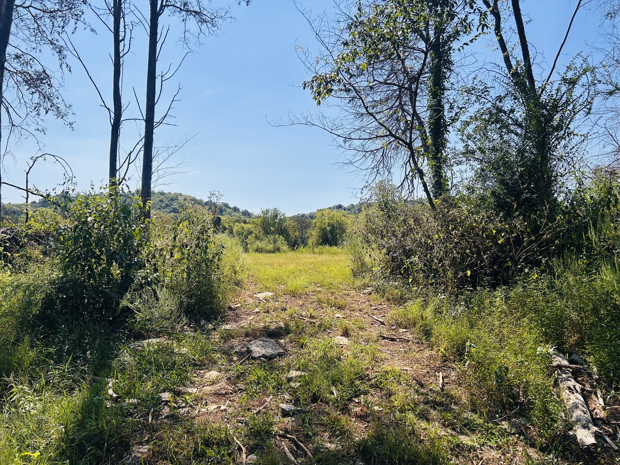 0 Bradyville Pike