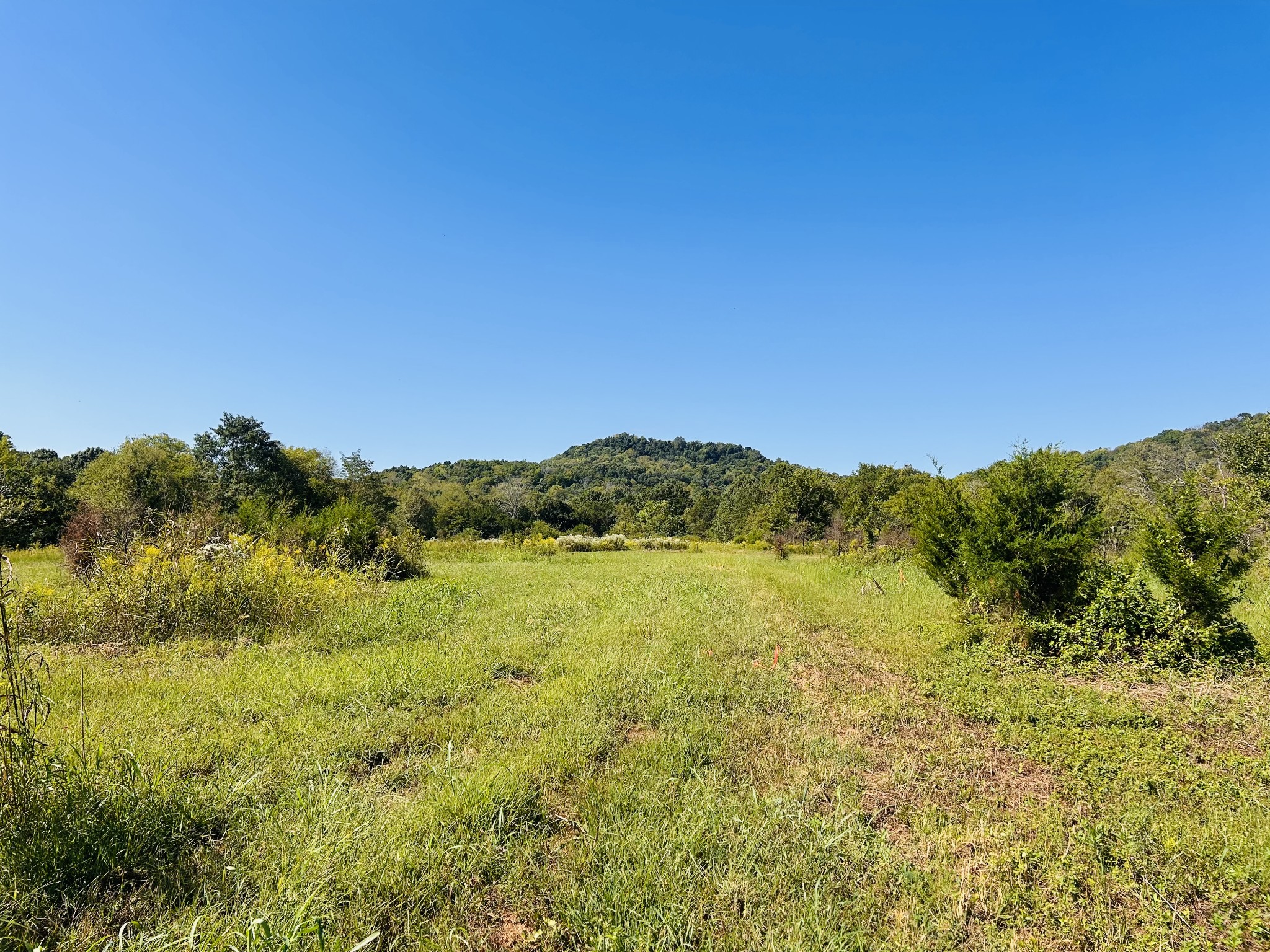 0 Bradyville Pike