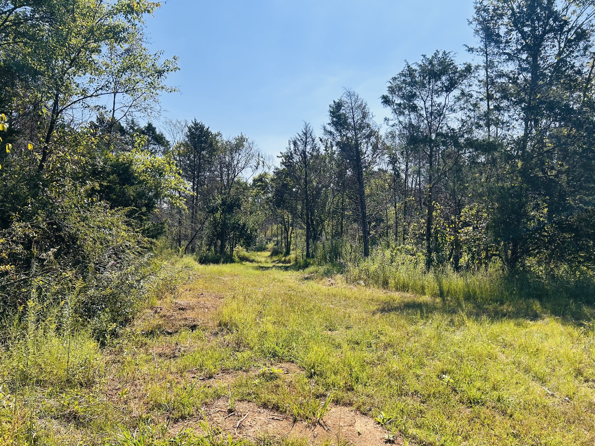 0 Bradyville Pike